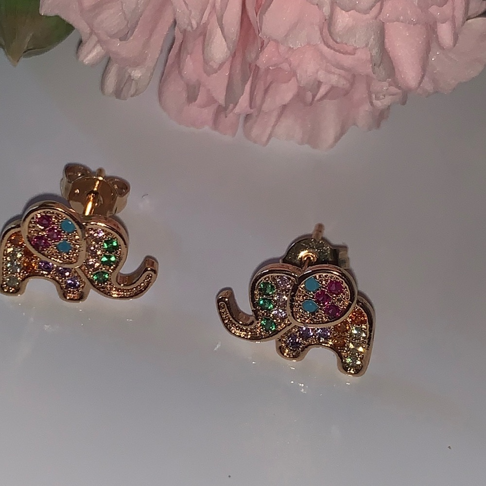 Elephant 🐘 earrings